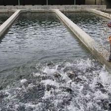 فروش دامداری و کشاورزی 3000 متر در گتاب