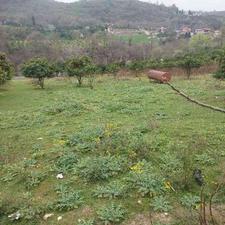 فروش زمین 300متری تنگه لته پرچیکلا