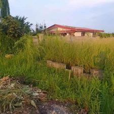 زمین داخل بافت 250 متر تنکابن