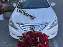 اجاره ماشین عروس سوناتا وای اف وایف yf در شیپور