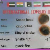 مهره مار اصل شاه کبری باضمانت کتبی امضادارمعتبر