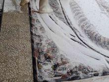 قالیشویی بهار در شیپور