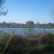 زمین باغچه ای 520 متر در کیلومتر 7 جاده دریا