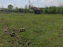 زمین مسکونی درفاصله 100متری جاده آسفالت در شیپور