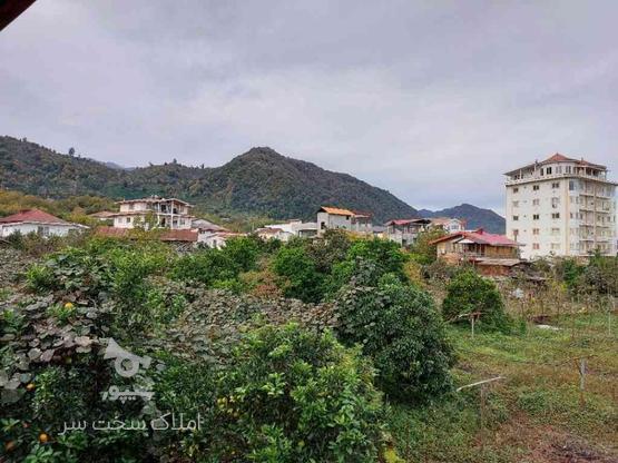 زمین مسکونی 377 متر در سفید تمشک در گروه خرید و فروش املاک در مازندران در شیپور-عکس1