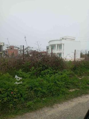 زمین مسکونی 210 متر در امیررود با جواز ساخت در گروه خرید و فروش املاک در مازندران در شیپور-عکس1
