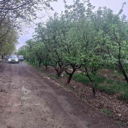 فروش زمین کشاورزی 250 متر در کردان در گروه خرید و فروش املاک در البرز در شیپور-عکس1