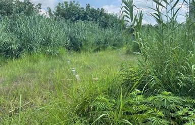 زمین مسکونی 850 متر در روستای پایین نقیب