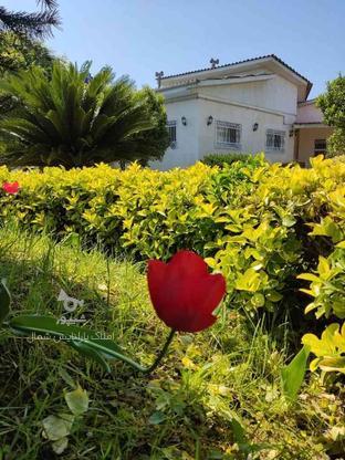 ویلا باغ سند دار در خیابان هراز 616 متر در گروه خرید و فروش املاک در مازندران در شیپور-عکس1