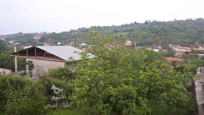فروش زمین مسکونی 318 متروسطی کلا(80مترمجوزساخت) در گروه خرید و فروش املاک در مازندران در شیپور-عکس1