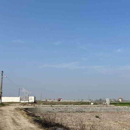 فروش زمین 135 متر در دابودشت در گروه خرید و فروش املاک در مازندران در شیپور-عکس1