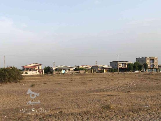 فروش 150 متر زمین در ساحل چپکرود در گروه خرید و فروش املاک در مازندران در شیپور-عکس1
