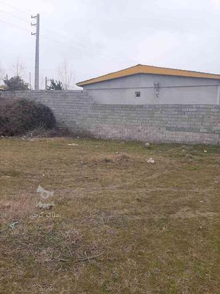 230متر زمین در کاله در گروه خرید و فروش املاک در مازندران در شیپور-عکس1