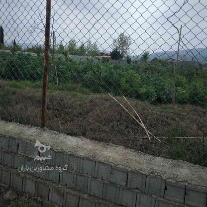 فروش زمین 100 متر در دابودشت در گروه خرید و فروش املاک در مازندران در شیپور-عکس1