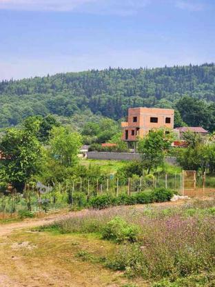 فروش زمین 500 متر در تنگ لته چشم انداز زیبا در گروه خرید و فروش املاک در مازندران در شیپور-عکس1