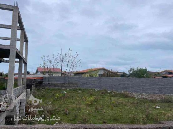 زمین 388 متری مسکونی و سند تک برگ در گروه خرید و فروش املاک در گیلان در شیپور-عکس1