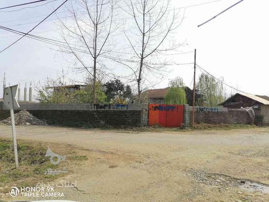فروش زمین مسکونی 402 متر در داخل شهر در گروه خرید و فروش املاک در گیلان در شیپور-عکس1