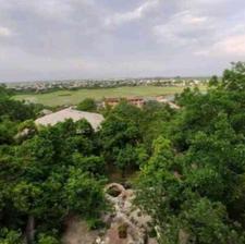 زمین مسکونی 298 متر