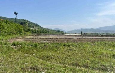 زمین 270 متری داخل بافت