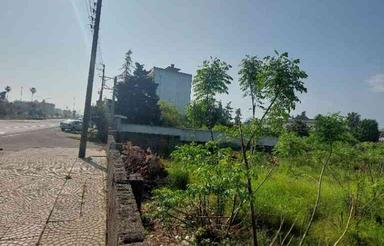 فروش زمین تجاری مسکونی 483 متری در رامسر