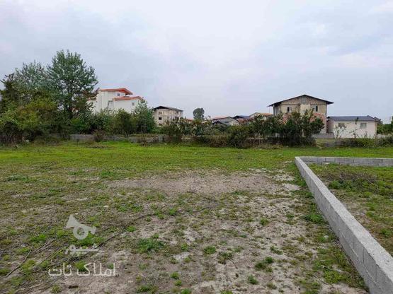 فروش زمین مسکونی 250 متر در زنگیشاه محله در گروه خرید و فروش املاک در مازندران در شیپور-عکس1
