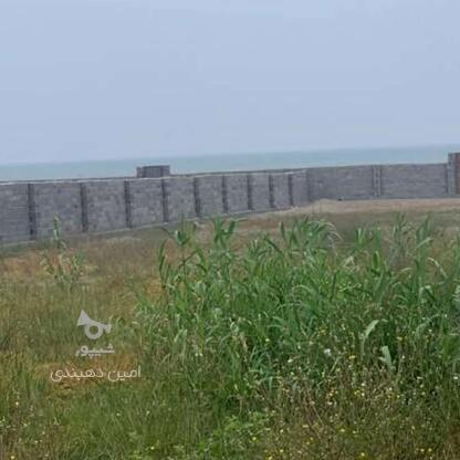 فروش 5 هزار متر زمین ساحلی در گروه خرید و فروش املاک در مازندران در شیپور-عکس1