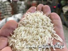 برنج هاشمی درجه یک بشرط پخت در شیپور