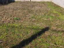 فروش زمین مسکونی 250 متر در شهبند در شیپور