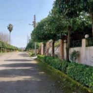 فروش زمین مسکونی 877 متر در خیابان آرا