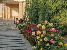 باغ ویلا 650متری،چهار باغ،رام جین در شیپور