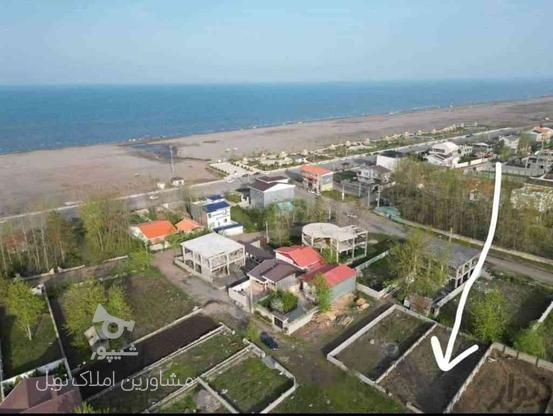 فروش زمین مسکونی 300 متر/ساحلی در گروه خرید و فروش املاک در گیلان در شیپور-عکس1