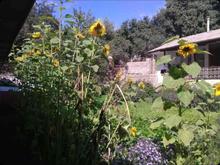 ویلا 260 متر در ییلاق نمارستاق لاریجان در شیپور