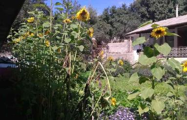 ویلا 260 متر در ییلاق نمارستاق لاریجان