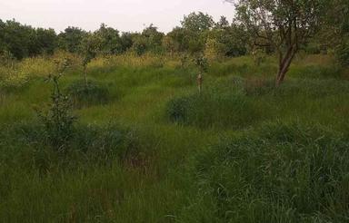 250مترزمین دونبش دورتا دور دیوار جاده نظامی