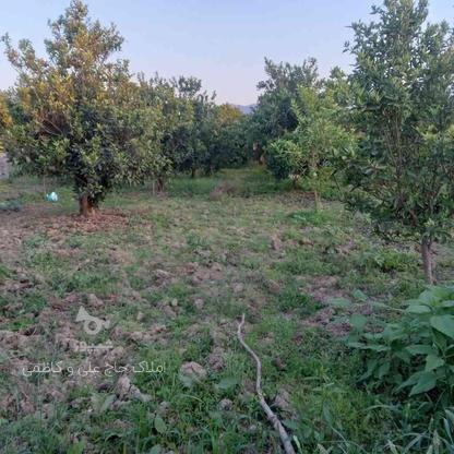 فروش زمین کشاورزی 400 متر در خشکرود در گروه خرید و فروش املاک در مازندران در شیپور-عکس1