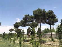 مهرشهر باغ ویلا 5000 متری ششدانگ بامجوزساخت در شیپور