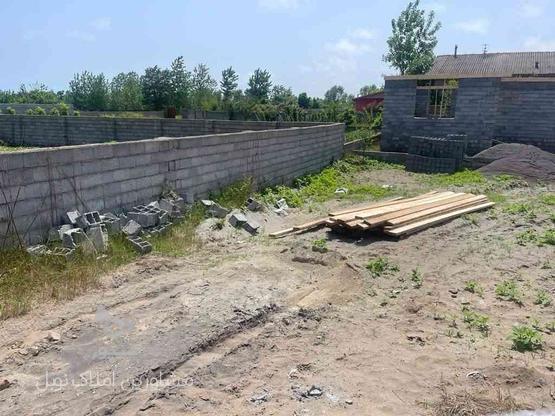 فروش زمین مسکونی 226 محصورشده در گروه خرید و فروش املاک در گیلان در شیپور-عکس1