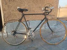 دوچرخه کورسی در شیپور
