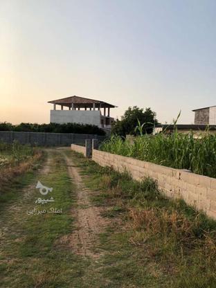 زمین مسکونی 230 متری با قیمت عالی در بهترین نقطه ارطه در گروه خرید و فروش املاک در مازندران در شیپور-عکس1