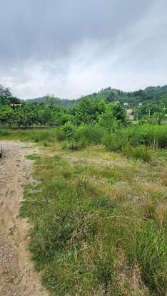 زمین ویلایی 650 متری، دامنه کوه ، دل جنگل / عباس آباد در گروه خرید و فروش املاک در گیلان در شیپور-عکس1