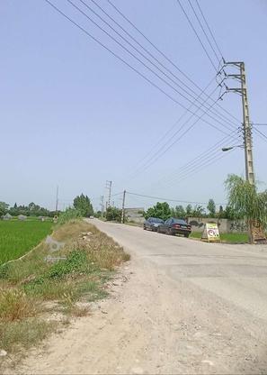 زمین الحاق به بافت 1107 متر در جاده قائمشهر در گروه خرید و فروش املاک در مازندران در شیپور-عکس1