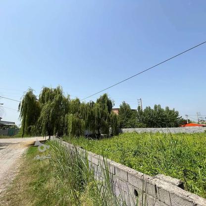 فروش زمین مسکونی 600 متر در مرکز شهر در گروه خرید و فروش املاک در مازندران در شیپور-عکس1