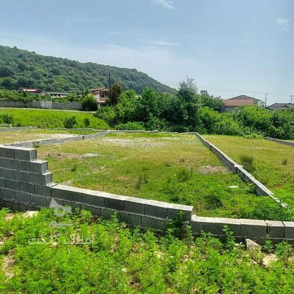 فروش زمین قابل ساخت 470متری جنگلی فول ویو در گروه خرید و فروش املاک در مازندران در شیپور-عکس1