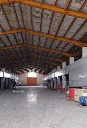 فروش سوله صنعتی 6000 متر در شهرک صنعتی در گروه خرید و فروش املاک در مازندران در شیپور-عکس1