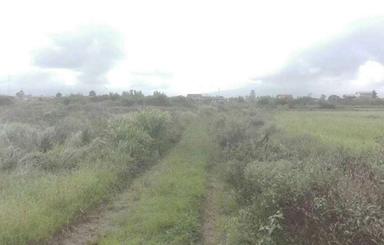 زمین 1,000 متری در گسکرمحله