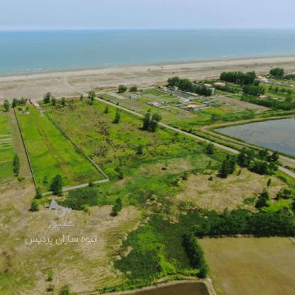 فروش زمین مسکونی ساحلی 349 متری/ویو ابدی دریا در گروه خرید و فروش املاک در گیلان در شیپور-عکس1