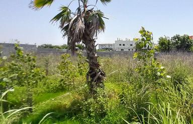 فروش زمین سندتک برگ سرخرود