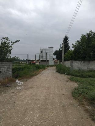فروش زمین مسکونی 100 متر در آهی دشت در گروه خرید و فروش املاک در مازندران در شیپور-عکس1