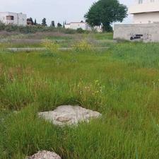 زمین مسکونی 280 متر فرح آباد