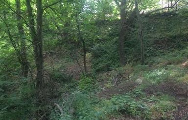 فروش باغ 1885 متر در کردان